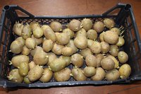 IMG_2989.jpg