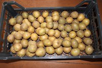 IMG_3002.jpg