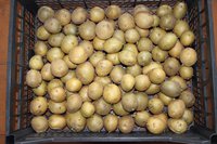 IMG_3005.jpg