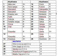 Нумерация сортов клубники.png