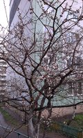 IMAG0264.jpg