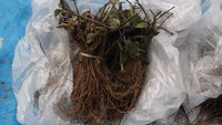 DSCF6322.JPG
