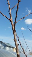 20160501_152900.jpg
