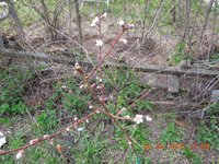 DSCN4538.JPG