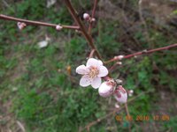 DSCN4539.JPG