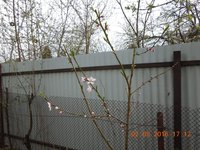 DSCN4542.JPG