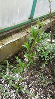 2016-05-03 17.08.05.jpg