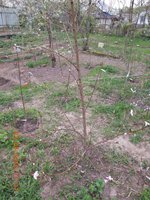DSCN4549.JPG