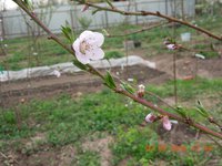 DSCN4551.JPG