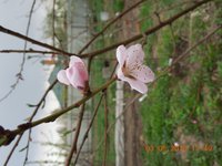 DSCN4552.JPG