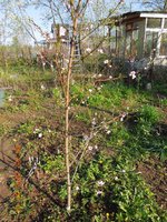 DSCN4559.JPG