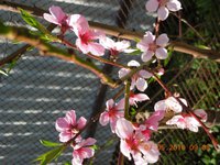DSCN4572.JPG