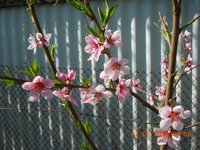 DSCN4573.JPG
