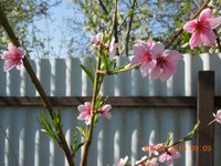 DSCN4574.JPG
