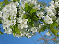 DSCN4575.JPG