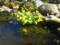 IMG_0127-1.jpg