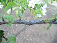 DSCN8916s.jpg