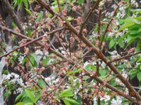 DSCN4587.JPG