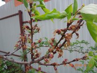 DSCN4588.JPG