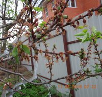 DSCN4589.JPG