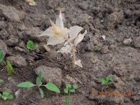 DSCN4590.JPG