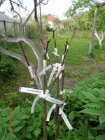 DSCN4598.JPG
