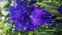 20160512_115250.jpg