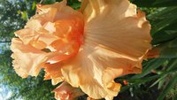 20160512_115302.jpg