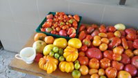 20150809_113105.jpg