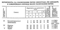 весенние заморозки виноград.jpeg