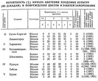 весенние заморозки.jpeg