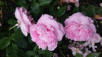 20160518_170033.jpg