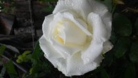 20160518_170042.jpg