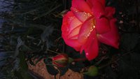 20160518_170850.jpg