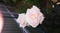 20160518_171005.jpg