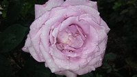 20160518_171026.jpg