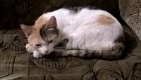WP_20160518_23_19_44_Pro.jpg
