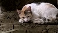 WP_20160518_23_19_52_Pro.jpg