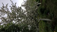 WP_20160517_07_24_33_Pro.jpg