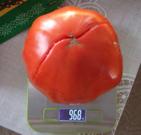 008_cr.jpg