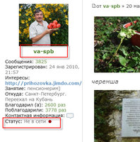 ник ниже аватарки. И не в сети -Не сработал скрипт