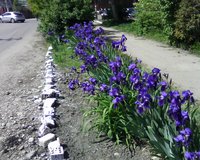 IMG0188A.jpg