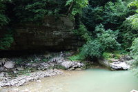 DSCF0532.JPG