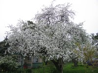 IMG_0291-1.jpg