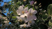 WP_20160520_19_08_04_Pro.jpg