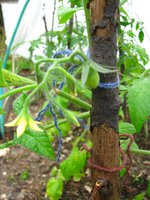 IMG_0328-1.jpg