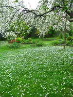 IMG_0315-1.jpg