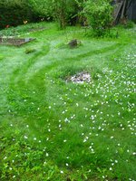 IMG_0316-1.jpg