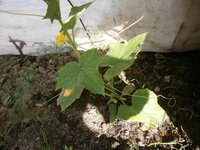 P5230009.JPG