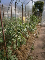 P5230005.JPG